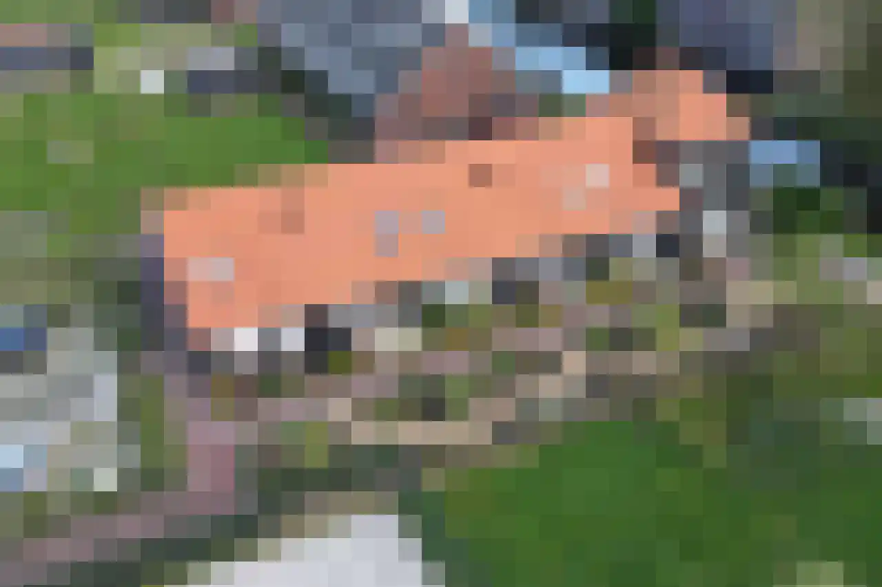 Het Schild 6 Heerhugowaard thumbnail 49