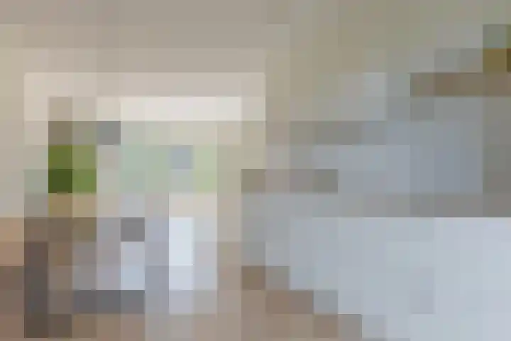 Het Schild 62 Heerhugowaard thumbnail 9