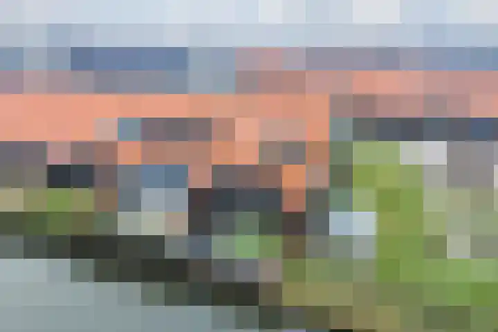 Het Schild 77 Heerhugowaard thumbnail 65