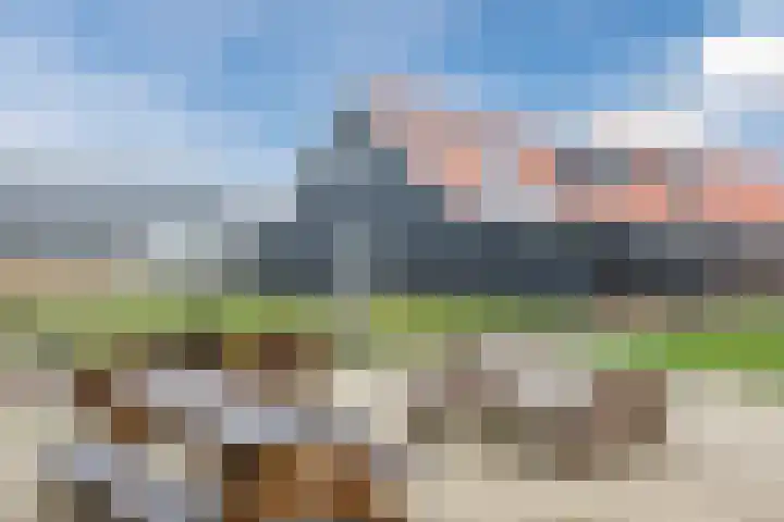 Het Schild 77 Heerhugowaard thumbnail 8