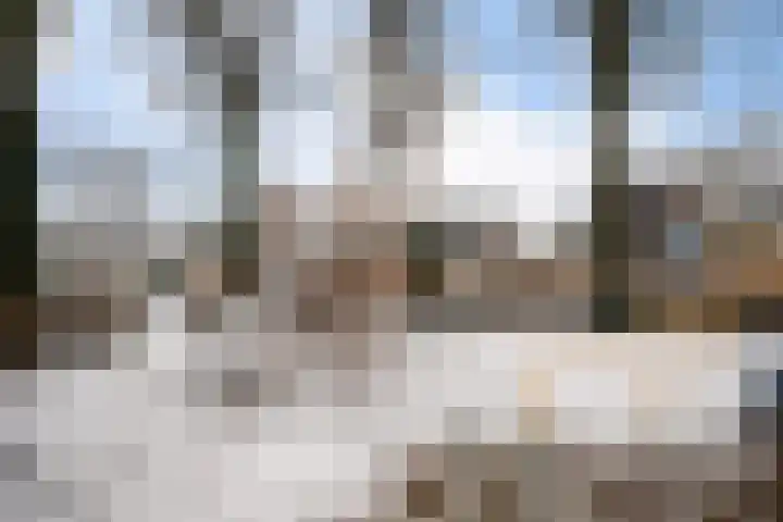 Het Schip 124 Apeldoorn thumbnail 52