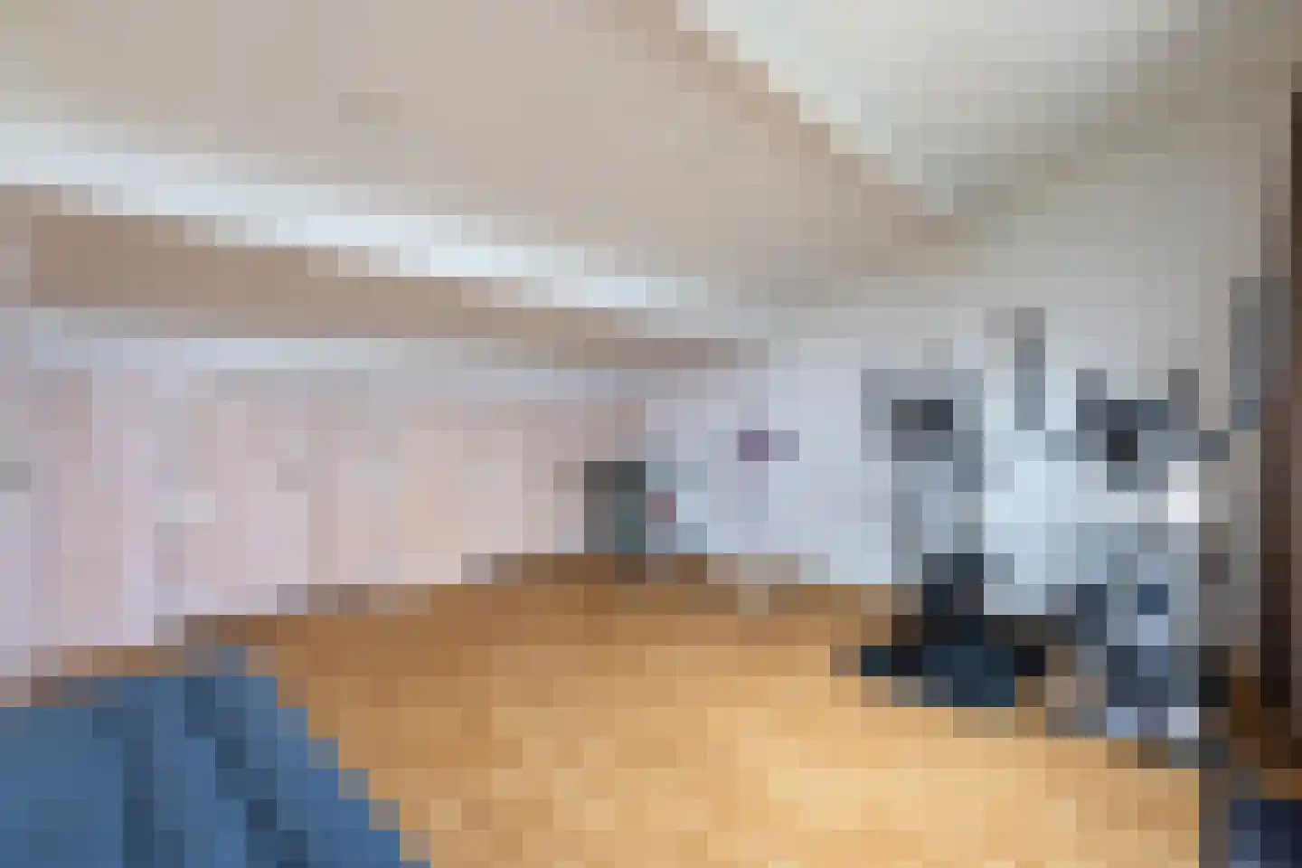 Het Schip 148 Apeldoorn thumbnail 24