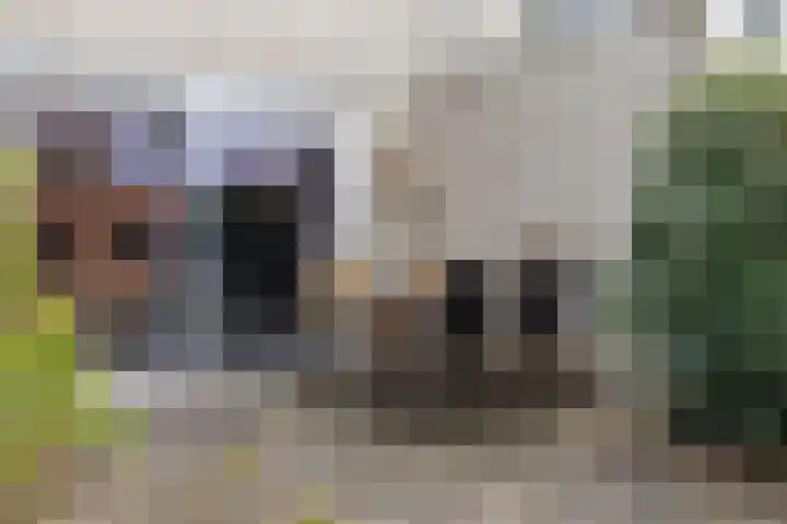 Het Schip 148 Apeldoorn thumbnail 27