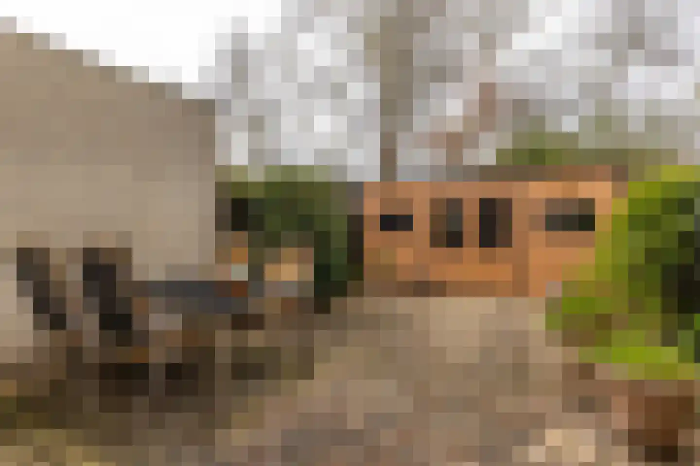 Het Schip 148 Apeldoorn thumbnail 28