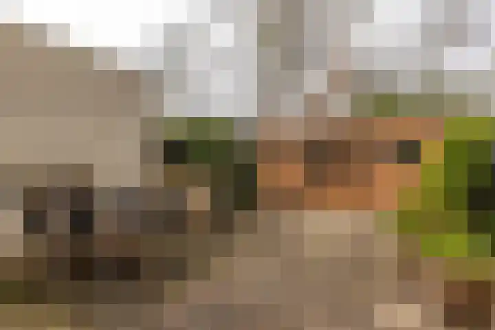 Het Schip 148 Apeldoorn thumbnail 28