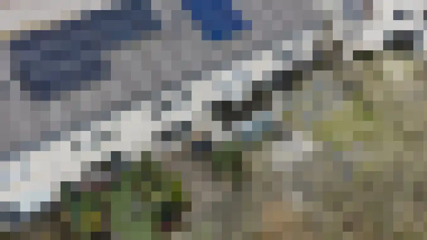 Het Schip 148 Apeldoorn thumbnail 32