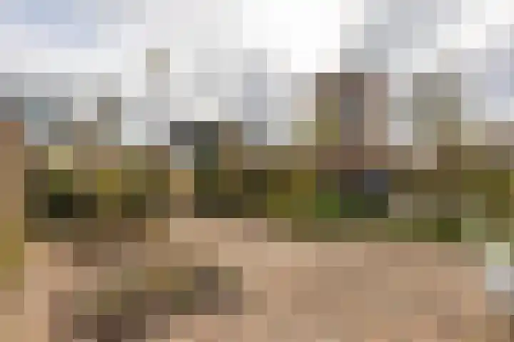 Het Schip 148 Apeldoorn thumbnail 33