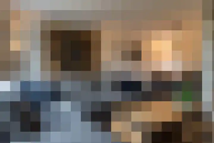 Het Schip 148 Apeldoorn thumbnail 9