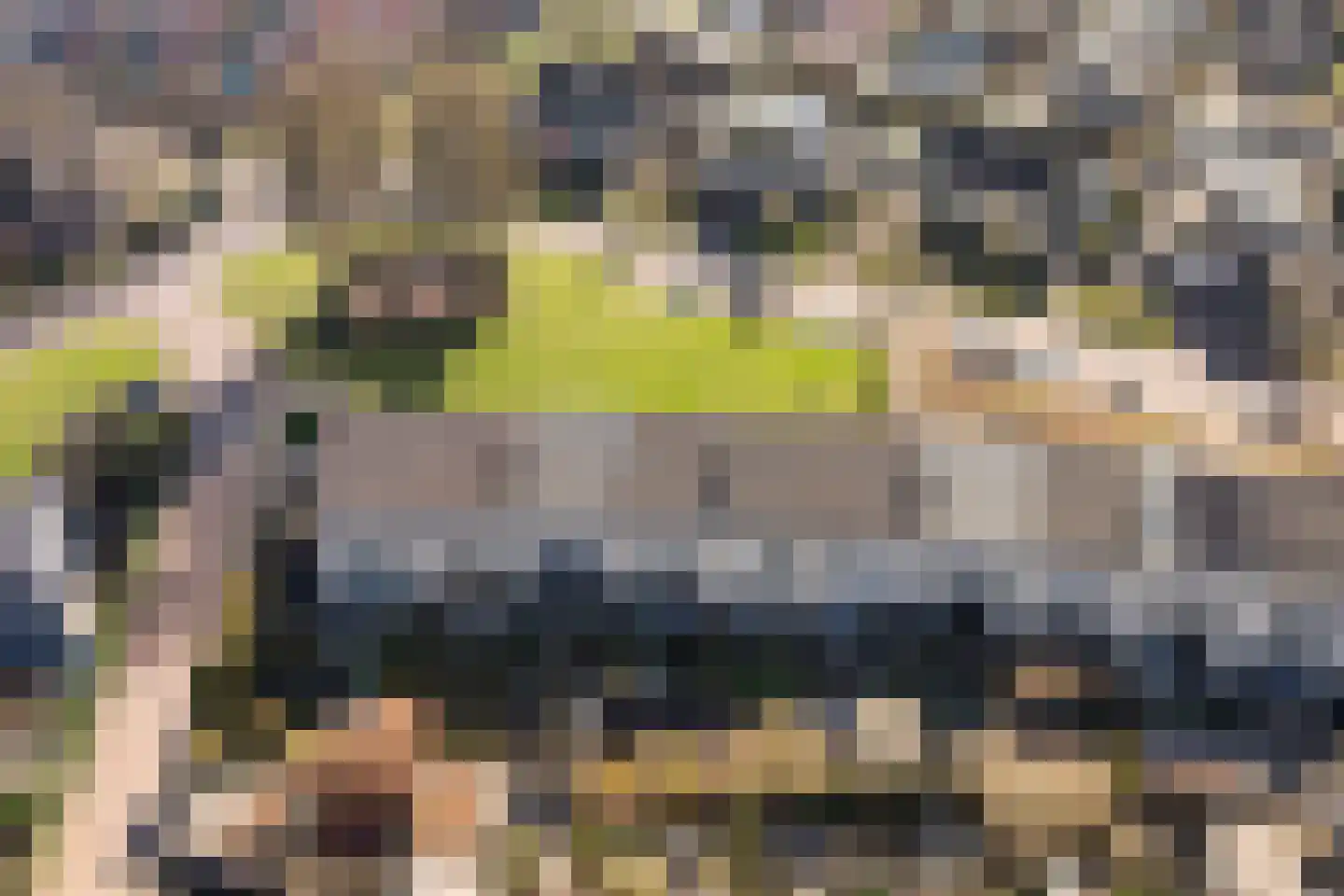 Het Schip 180 Apeldoorn thumbnail 25