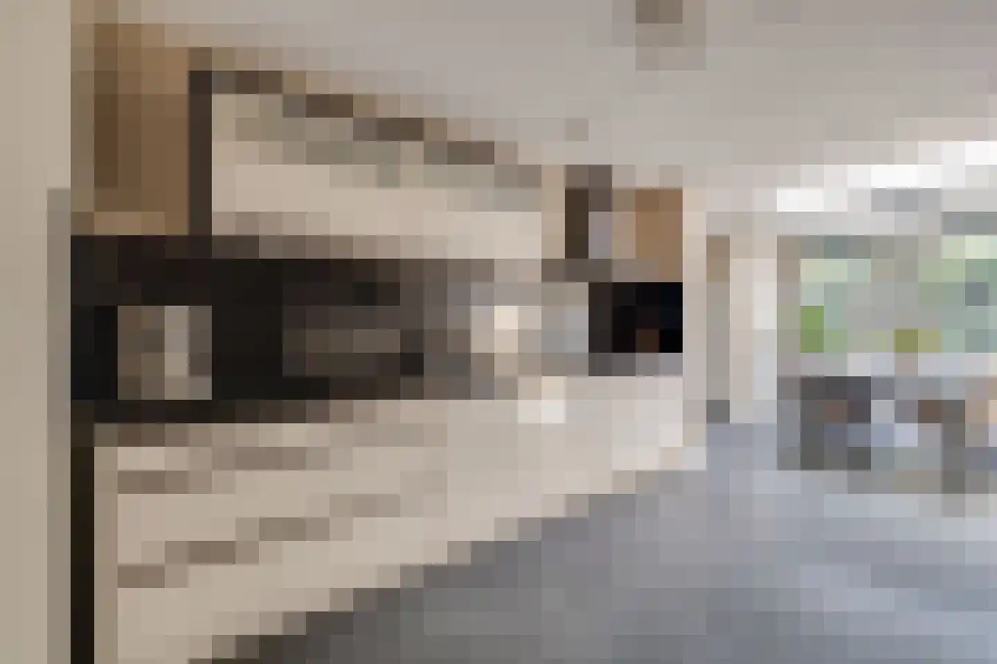 Het Schip 210 Apeldoorn thumbnail 11