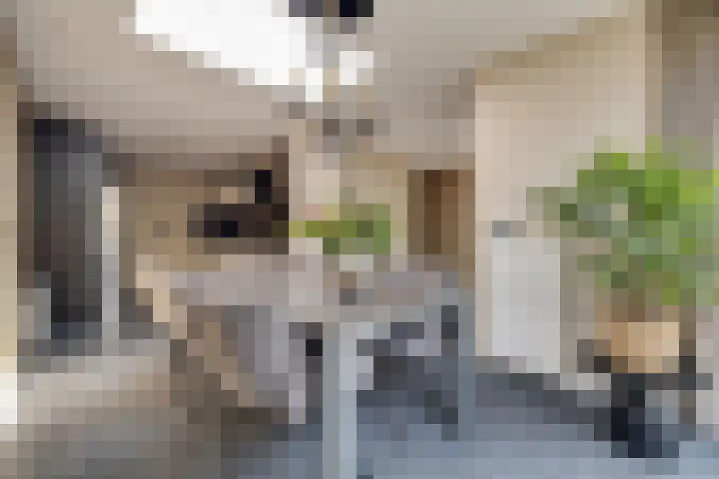 Het Schip 210 Apeldoorn thumbnail 14