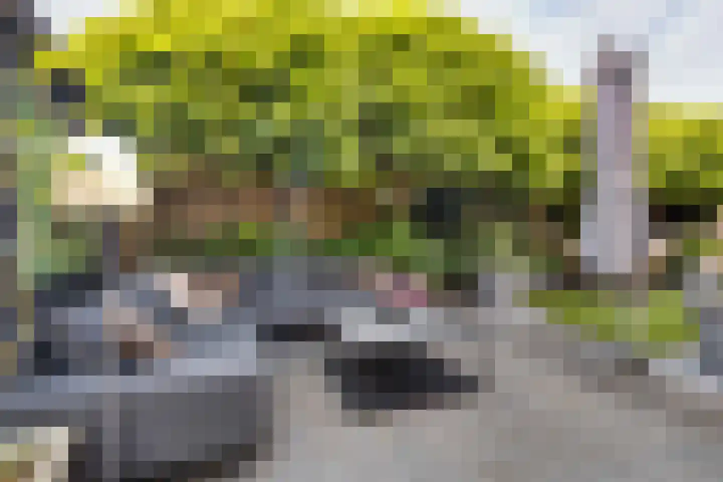 Het Schip 210 Apeldoorn thumbnail 51