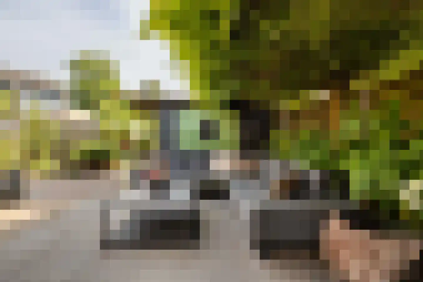 Het Schip 210 Apeldoorn thumbnail 52