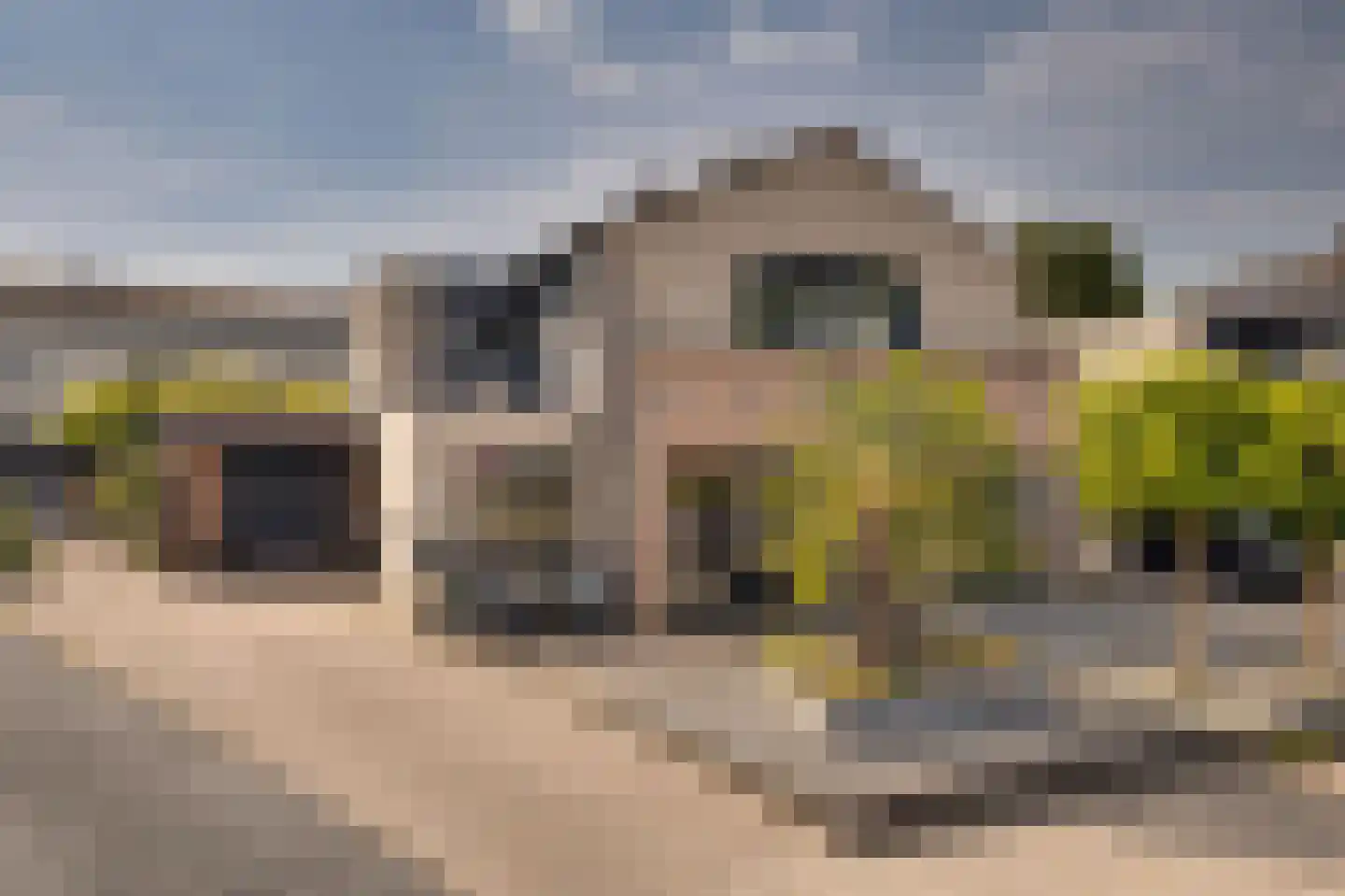 Het Schip 210 Apeldoorn thumbnail 55
