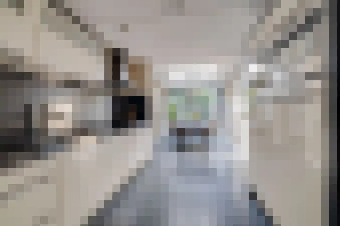Het Schip 210 Apeldoorn thumbnail 8