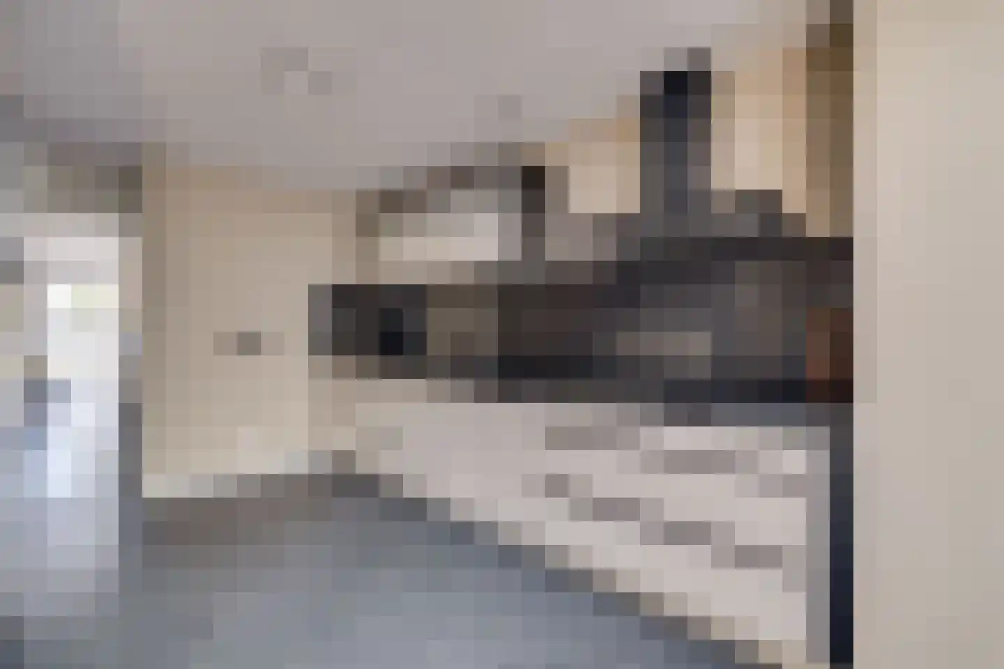 Het Schip 210 Apeldoorn thumbnail 9