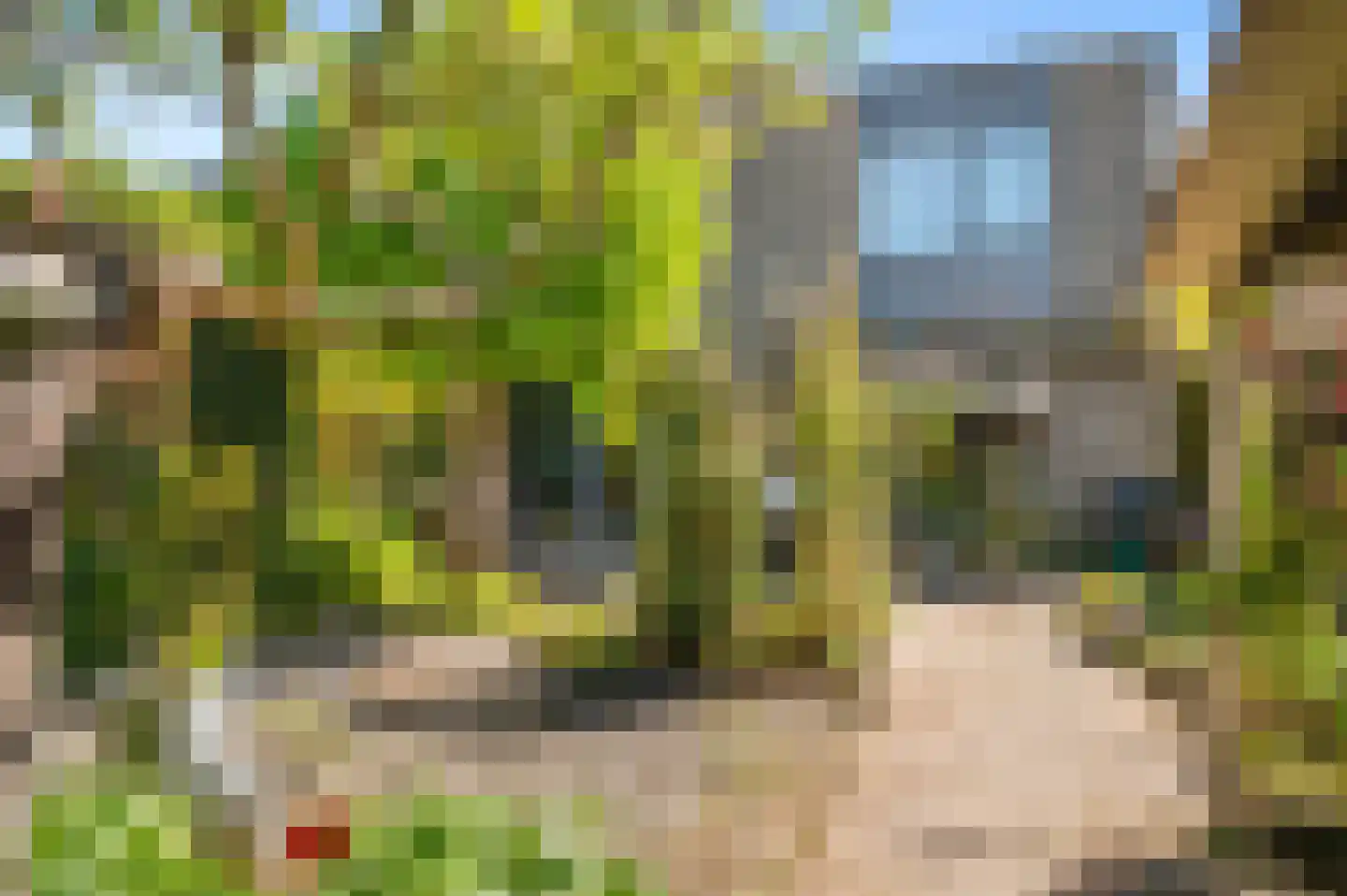 Het Schip 233 Apeldoorn thumbnail 27