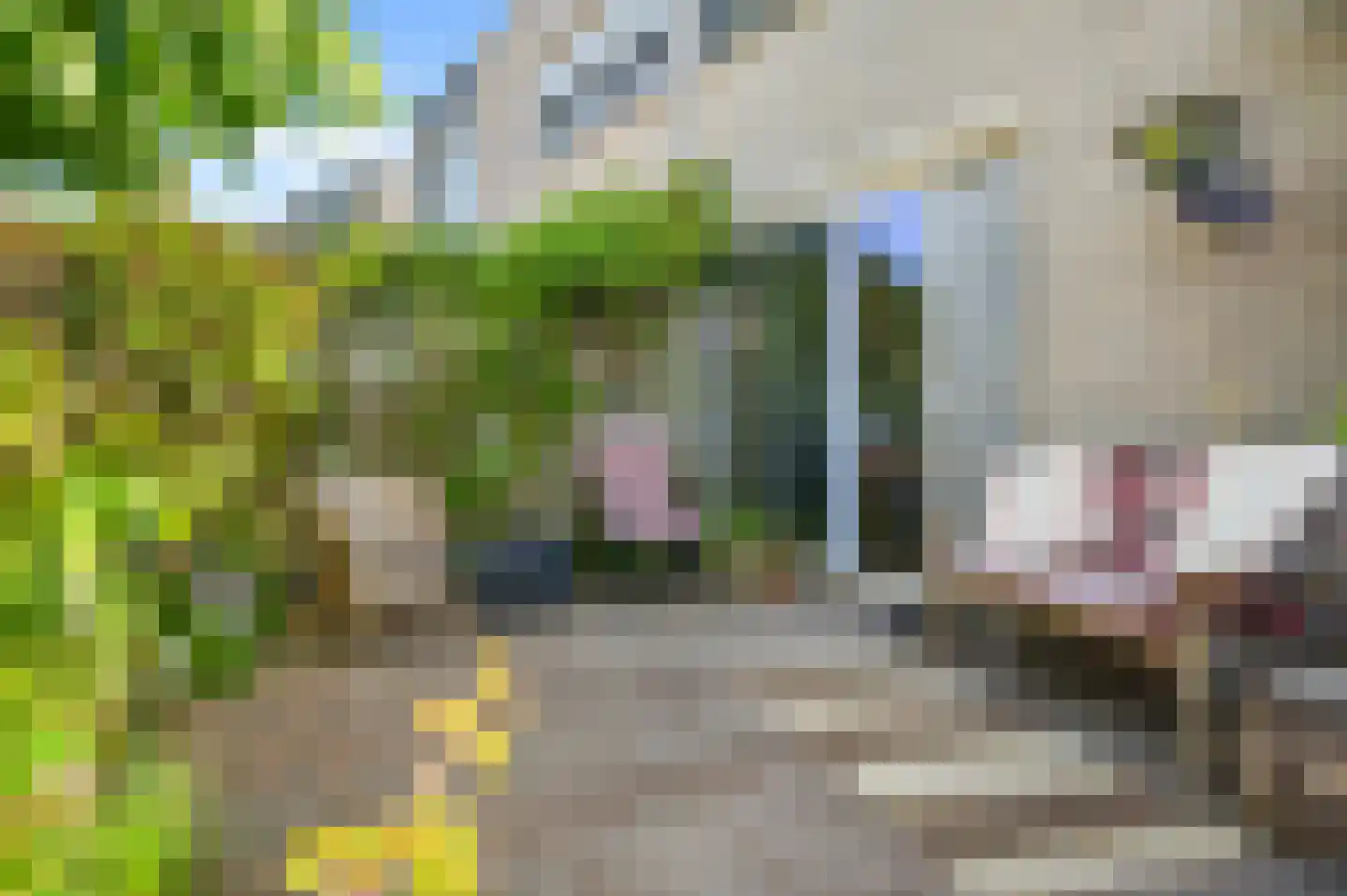 Het Schip 233 Apeldoorn thumbnail 28