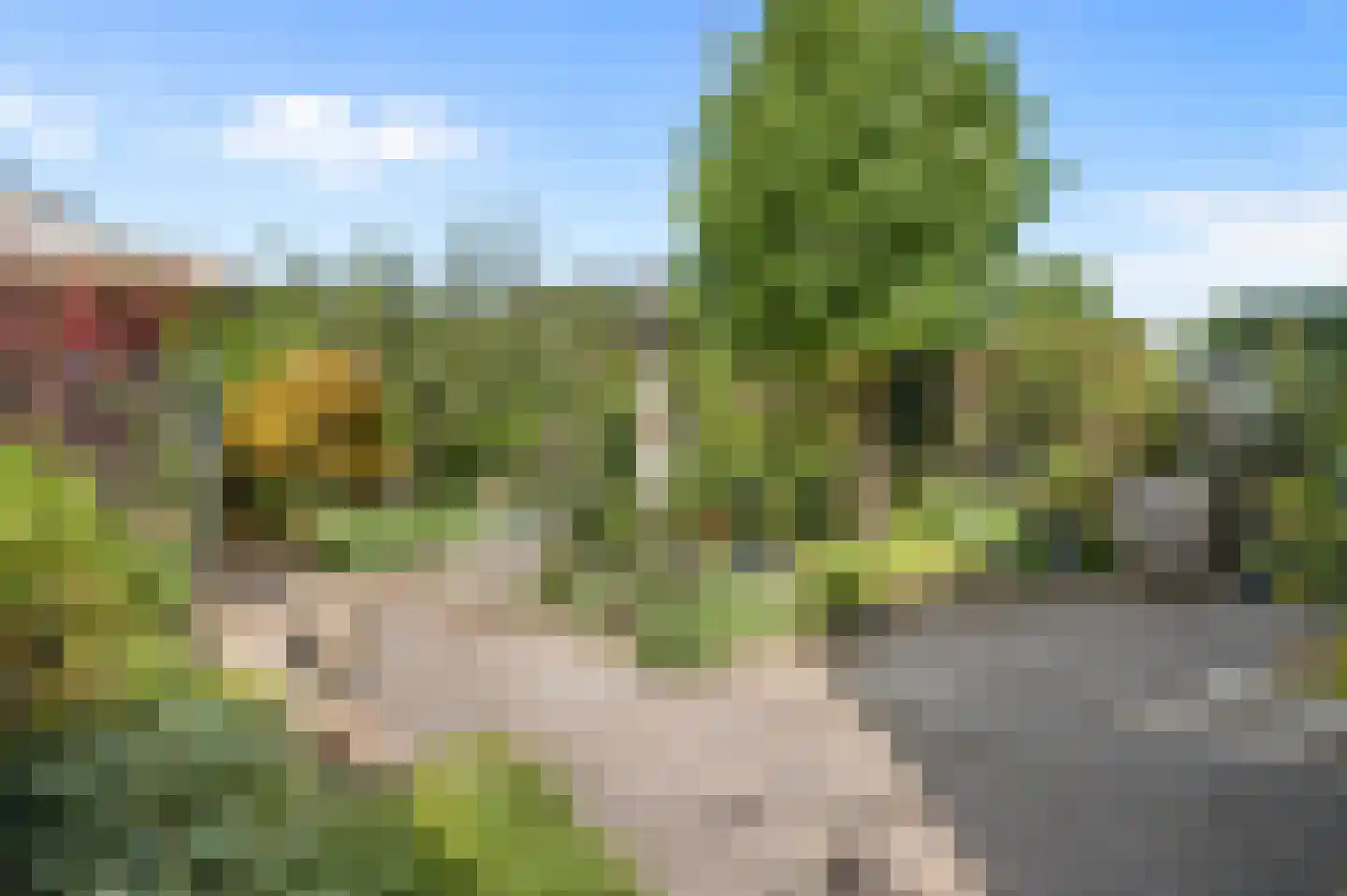 Het Schip 233 Apeldoorn thumbnail 31