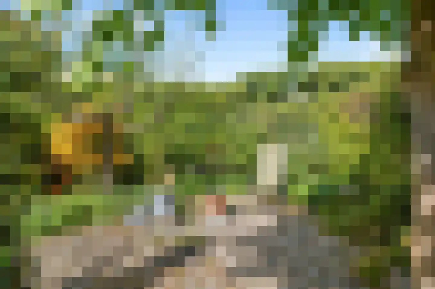 Het Schip 233 Apeldoorn thumbnail 33