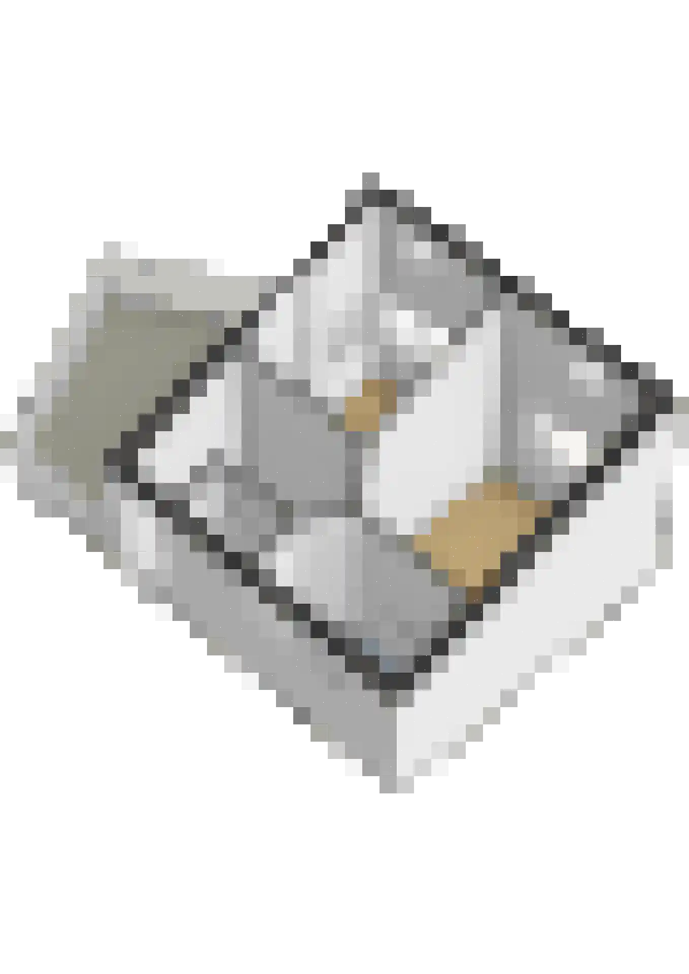 Het Schip 93 Schagen thumbnail 31