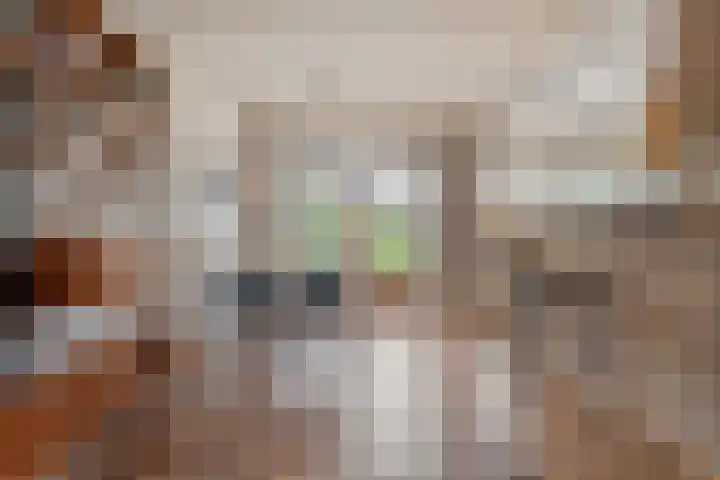 Het Schol 12 Almelo thumbnail 10