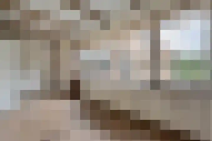 Het Schol 12 Almelo thumbnail 15