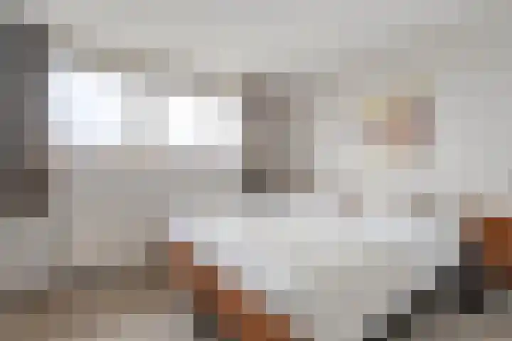 Het Schol 12 Almelo thumbnail 21