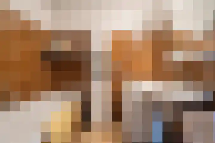 Het Schol 12 Almelo thumbnail 22