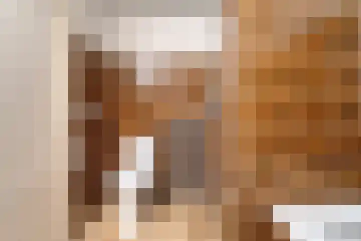 Het Schol 12 Almelo thumbnail 23