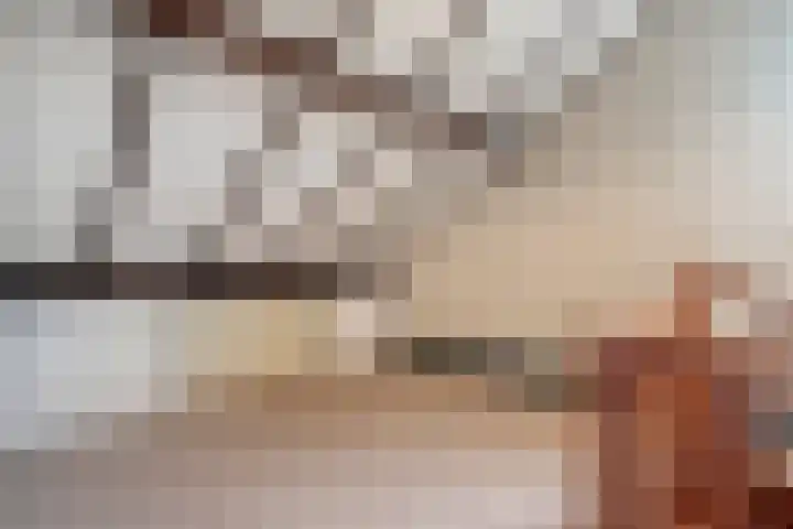 Het Schol 12 Almelo thumbnail 25