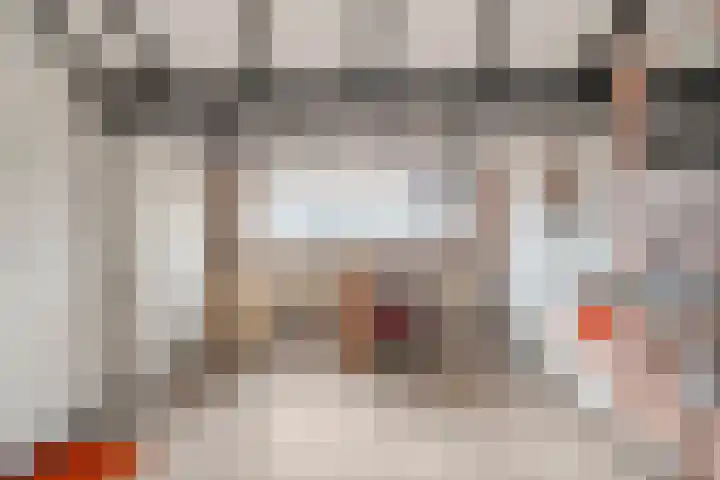 Het Schol 12 Almelo thumbnail 26