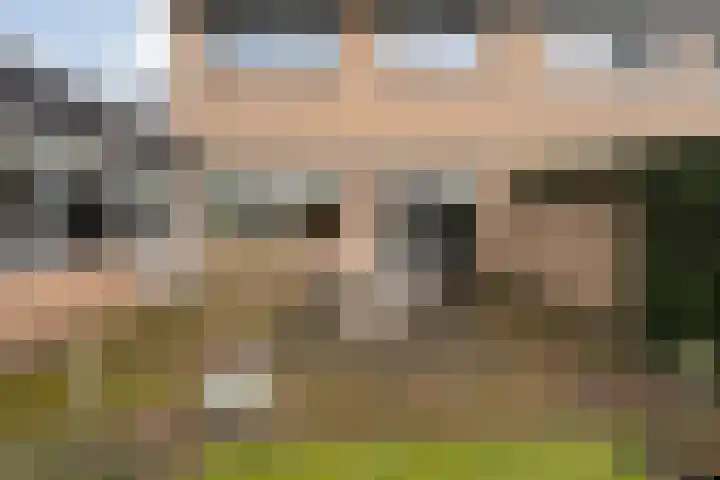 Het Schol 12 Almelo thumbnail 28