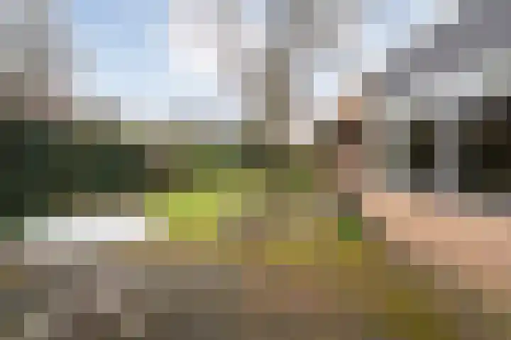 Het Schol 12 Almelo thumbnail 29