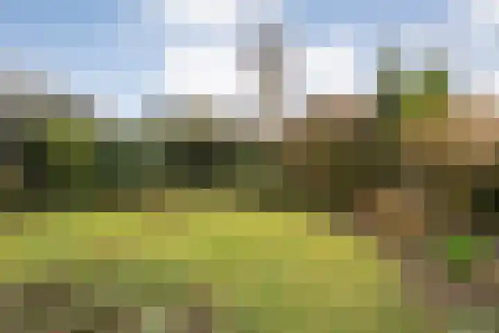 Het Schol 12 Almelo thumbnail 30