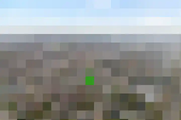 Het Schol 12 Almelo thumbnail 32