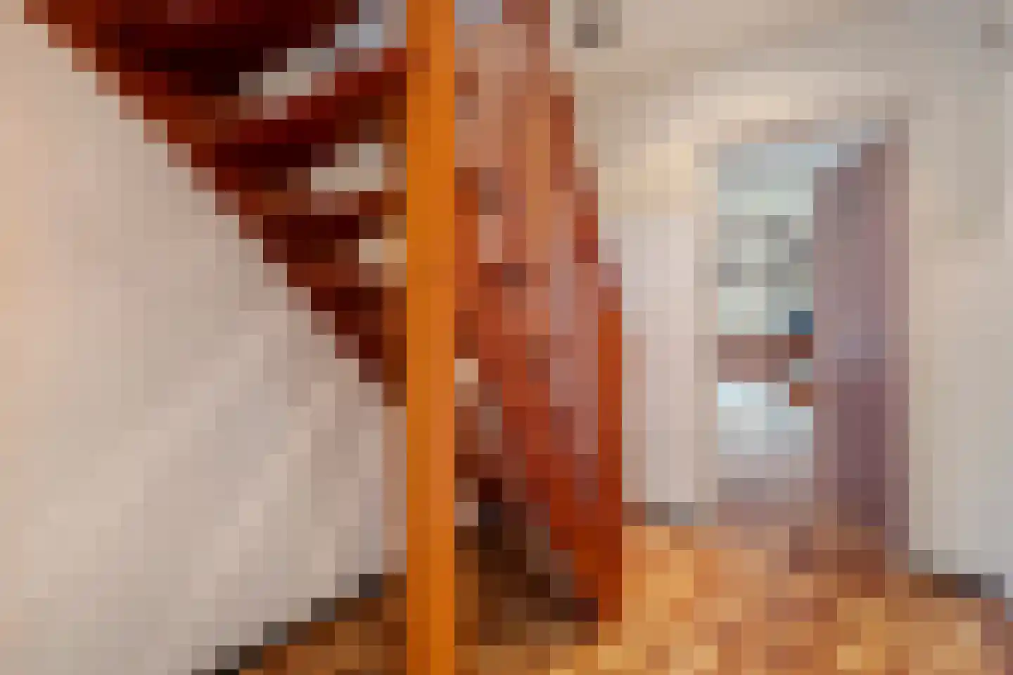 Het Schol 12 Almelo thumbnail 6