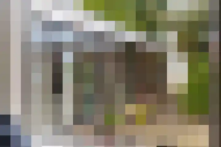 Het Schol 13 Almelo thumbnail 15