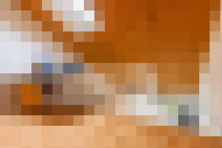 Het Schol 13 Almelo thumbnail 23