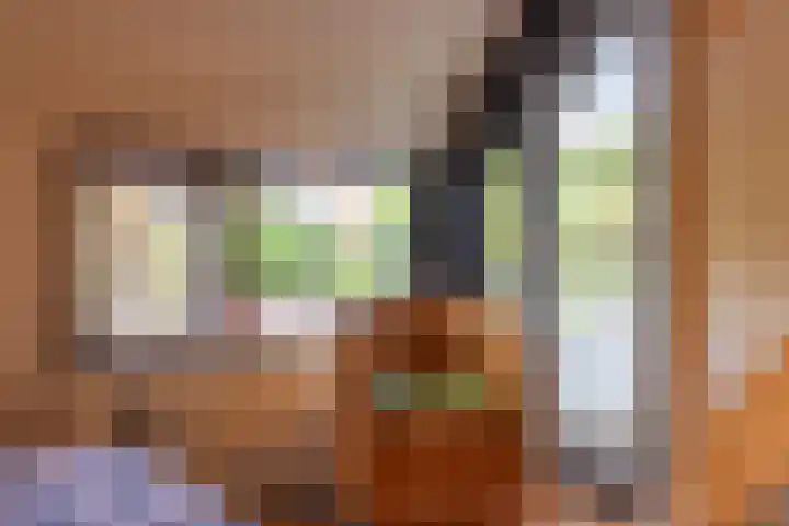 Het Schol 13 Almelo thumbnail 26