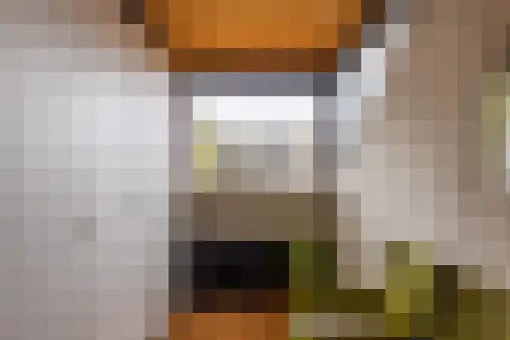 Het Schol 13 Almelo thumbnail 28