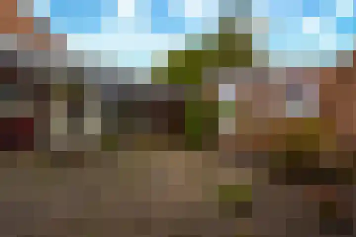 Het Schol 13 Almelo thumbnail 30