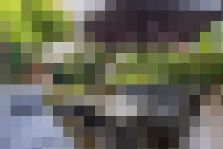 Het Schol 13 Almelo thumbnail 34