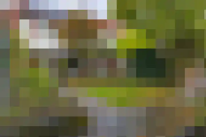 Het Schol 13 Almelo thumbnail 4
