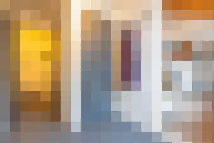 Het Schol 13 Almelo thumbnail 5