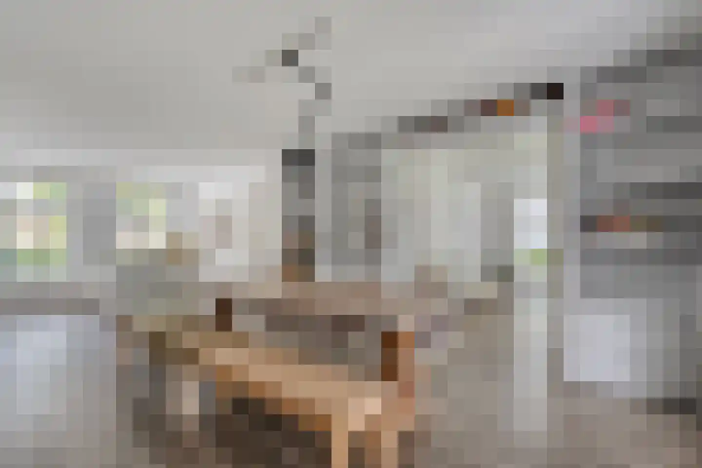 Het Schomaker 6 Denekamp thumbnail 10