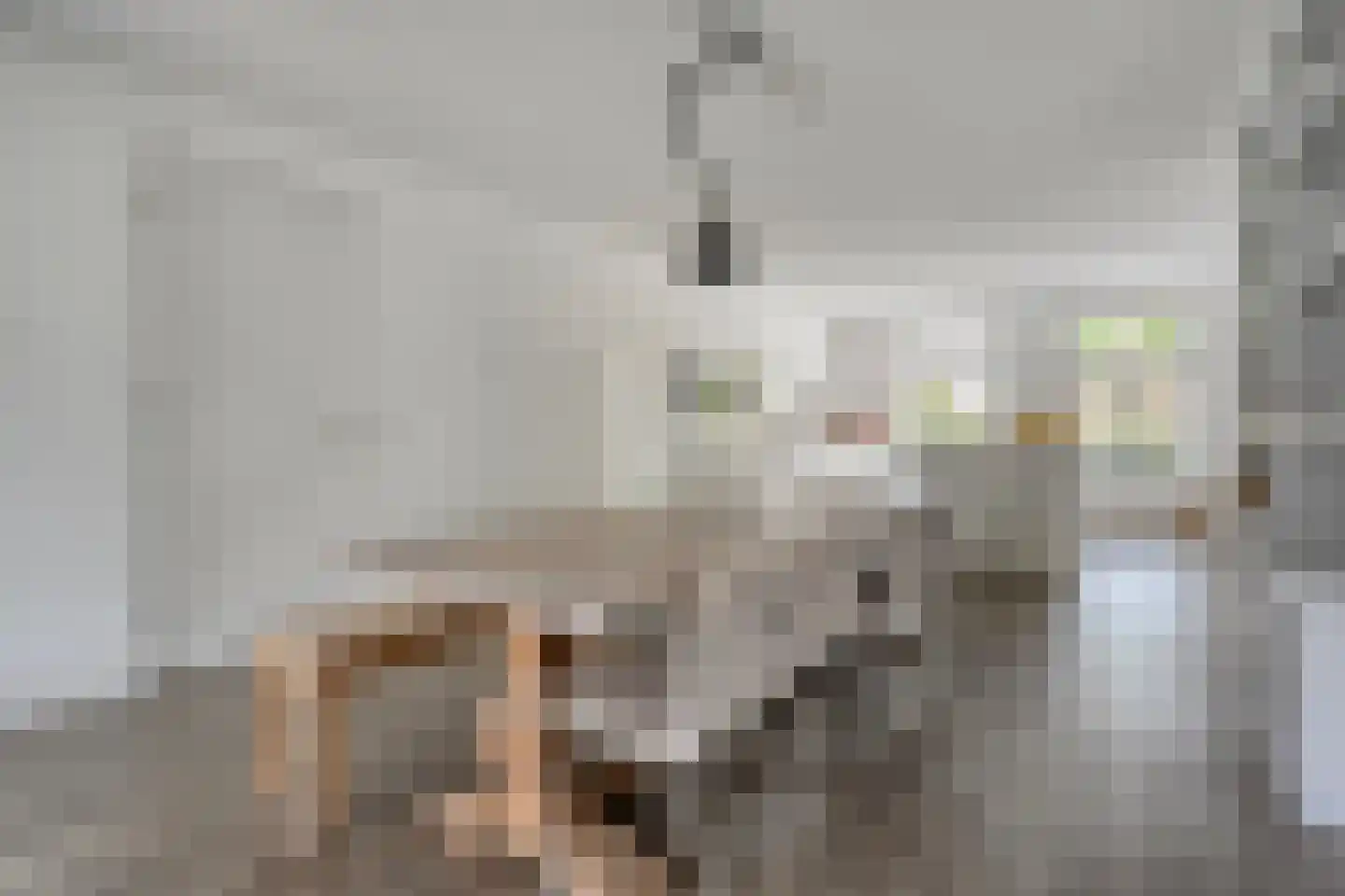 Het Schomaker 6 Denekamp thumbnail 11