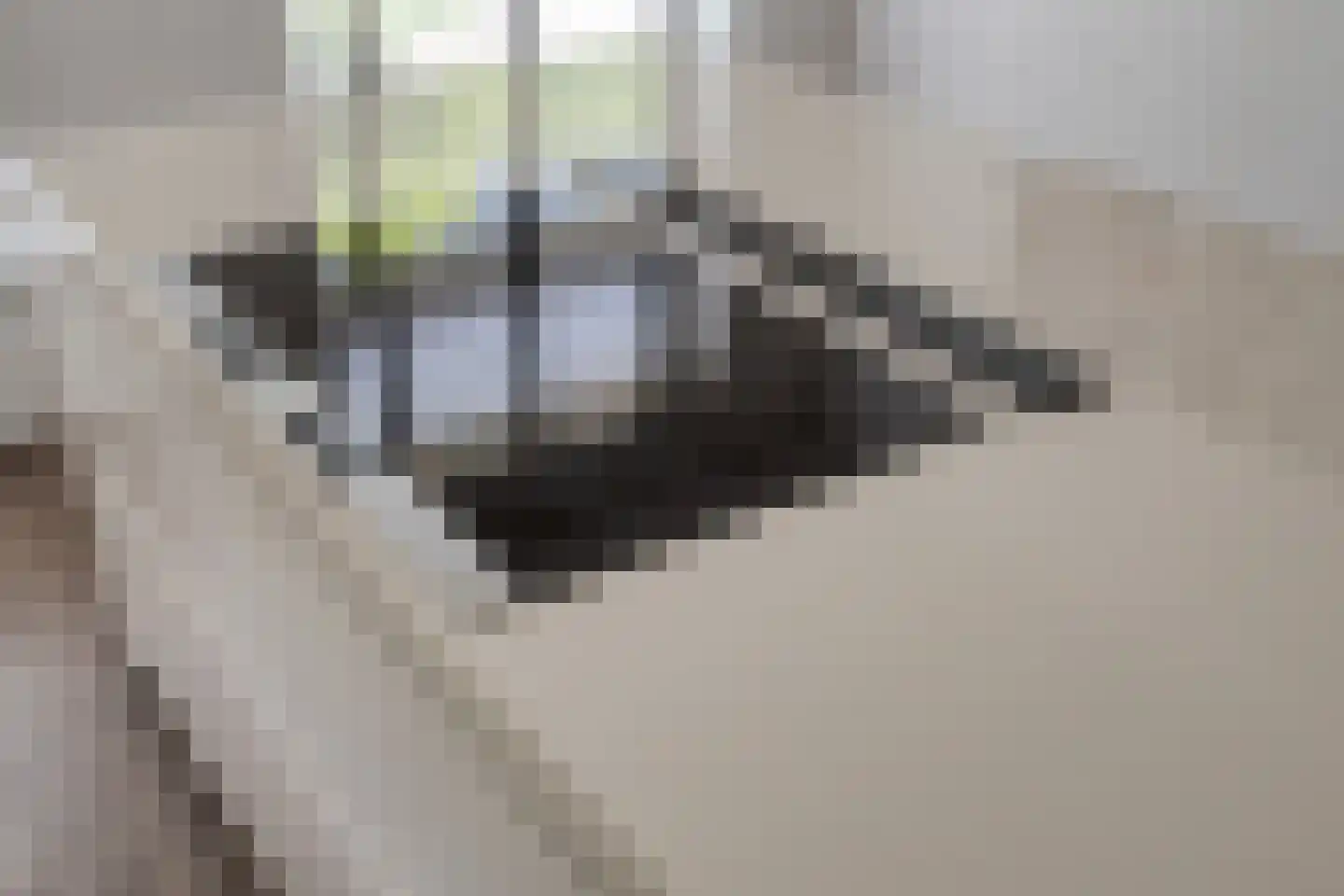 Het Schomaker 6 Denekamp thumbnail 14