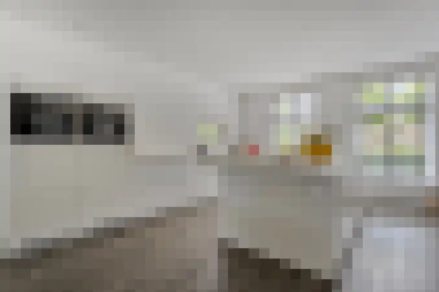 Het Schomaker 6 Denekamp foto 3