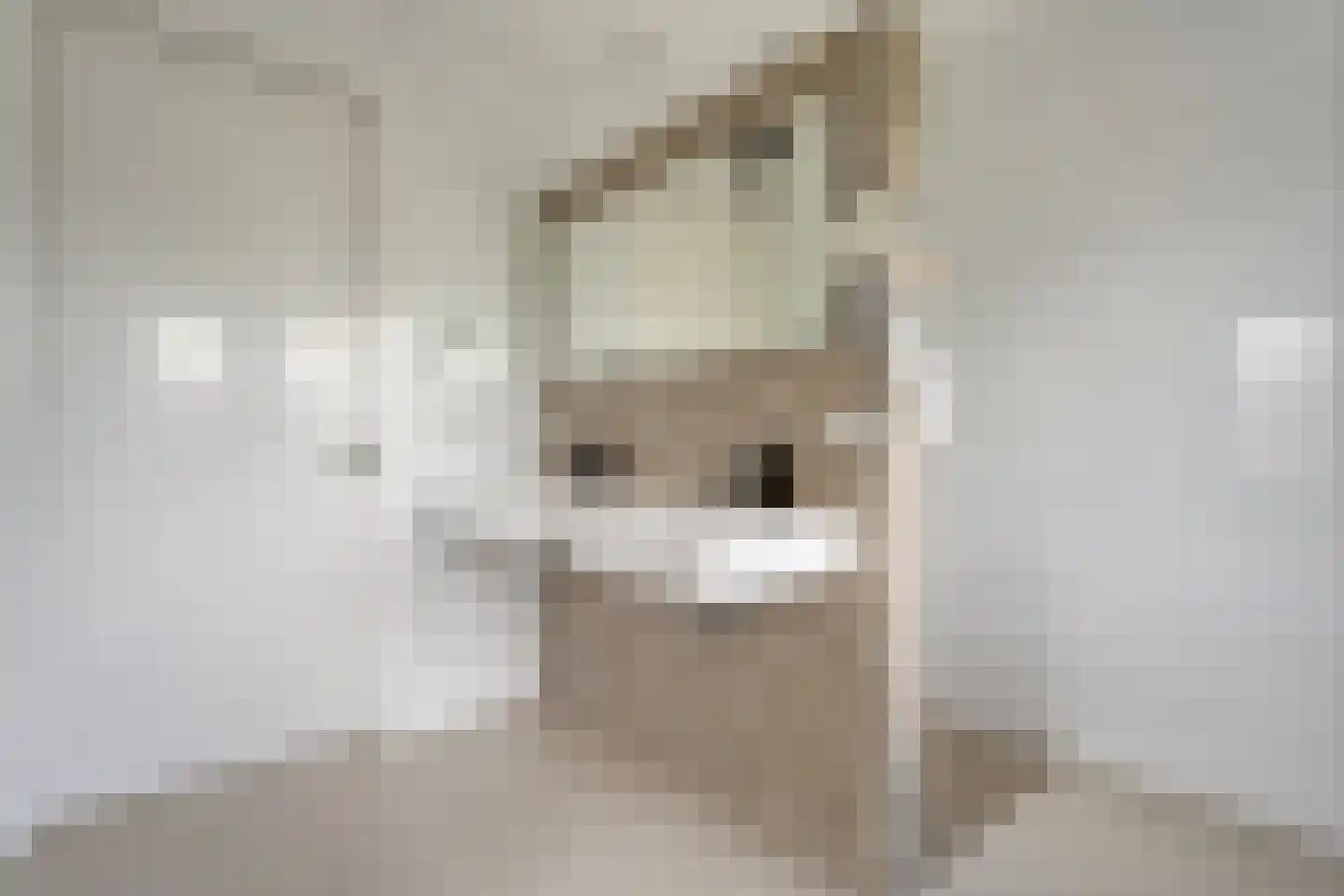 Het Schomaker 6 Denekamp thumbnail 4
